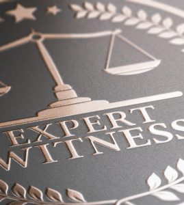 Expert Witness SupportExpert Witness Support